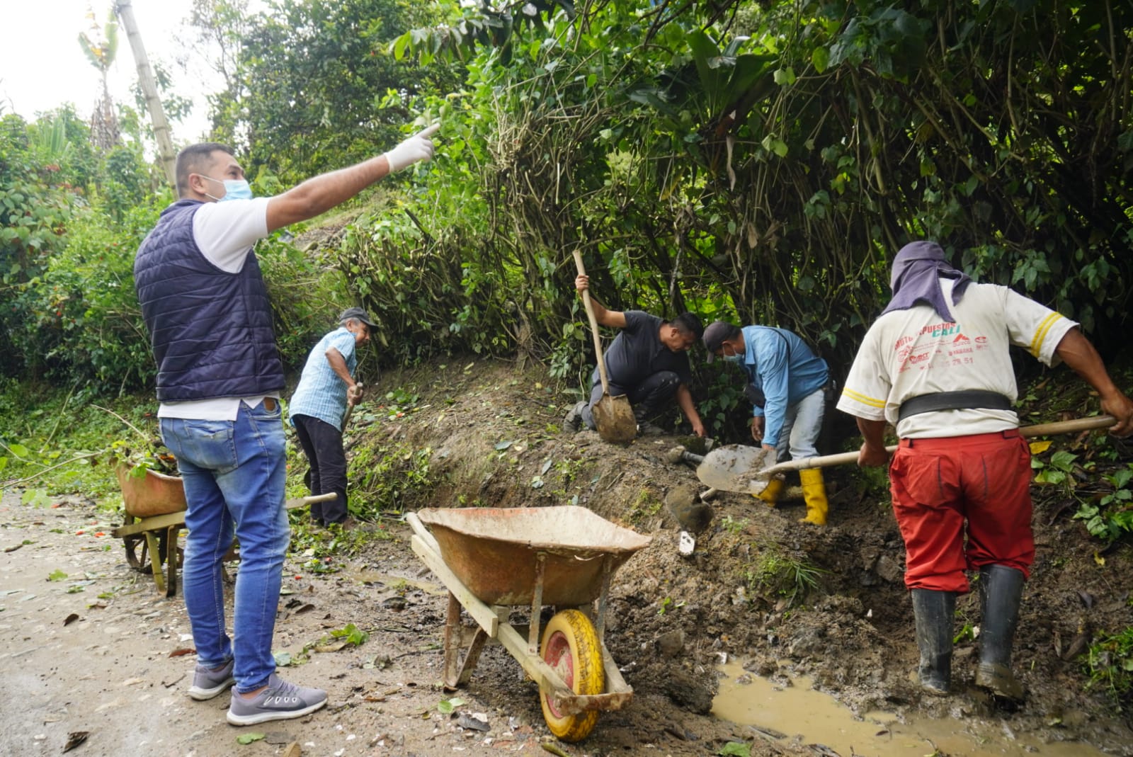 Obras PDA